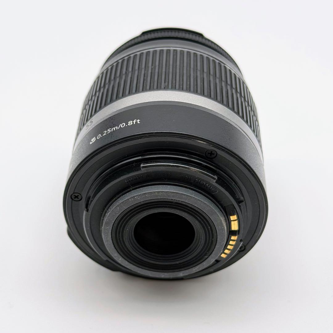 初心者おすすめ Canon Kiss X3 ダブルズーム