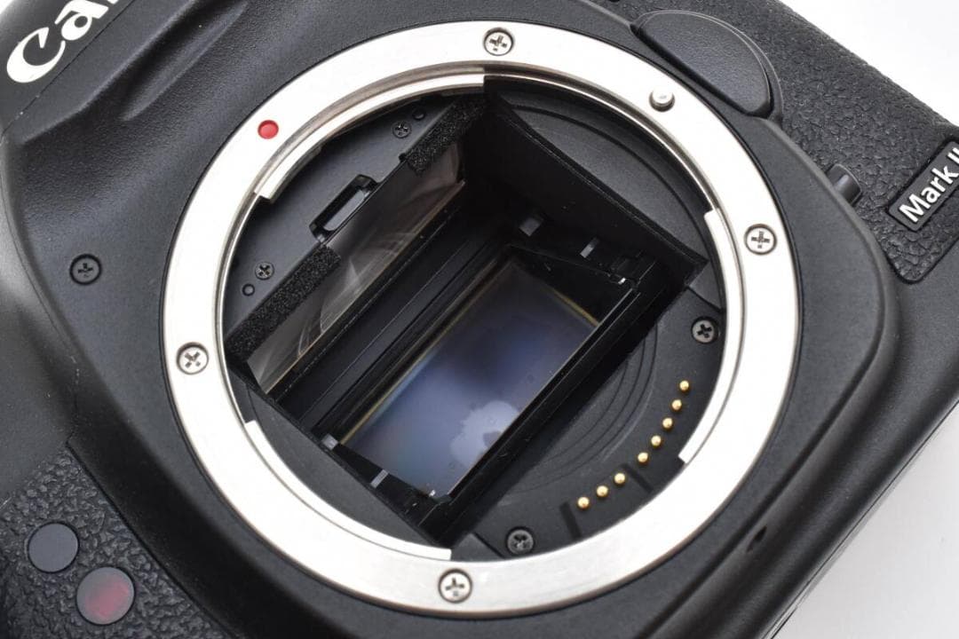 ★良品★ キヤノン CANON EOS 5D MARKII