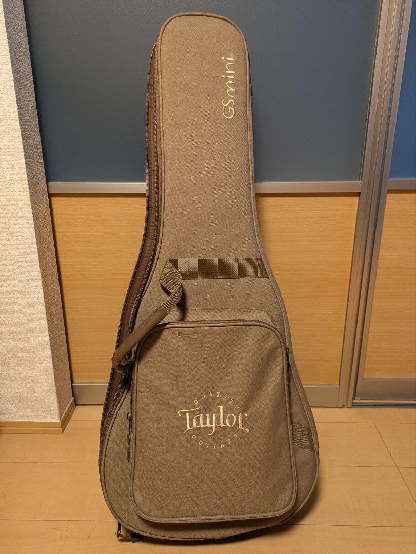 taylor gs mini　マホガニー