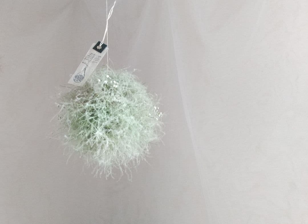 スモークツリーのフラワーボール ボールリース green