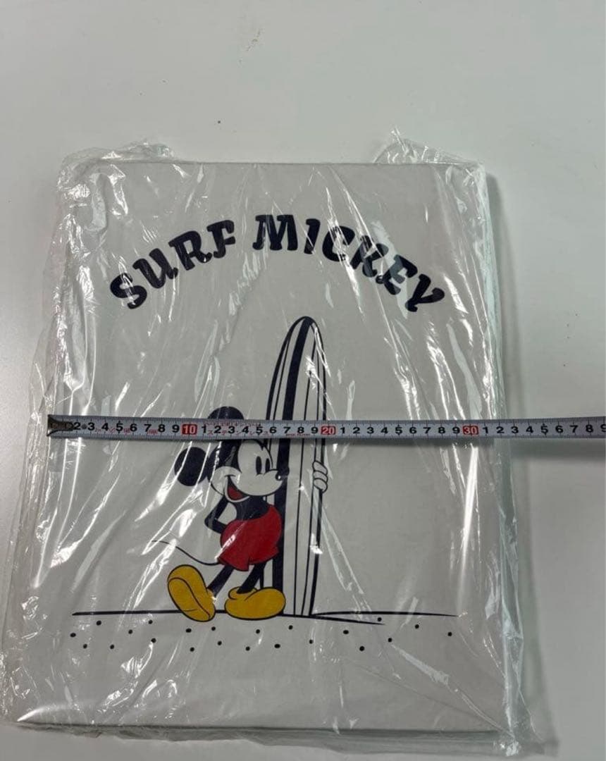 新品 サーフミッキー SURF MICKEY WALL CANVAS ART