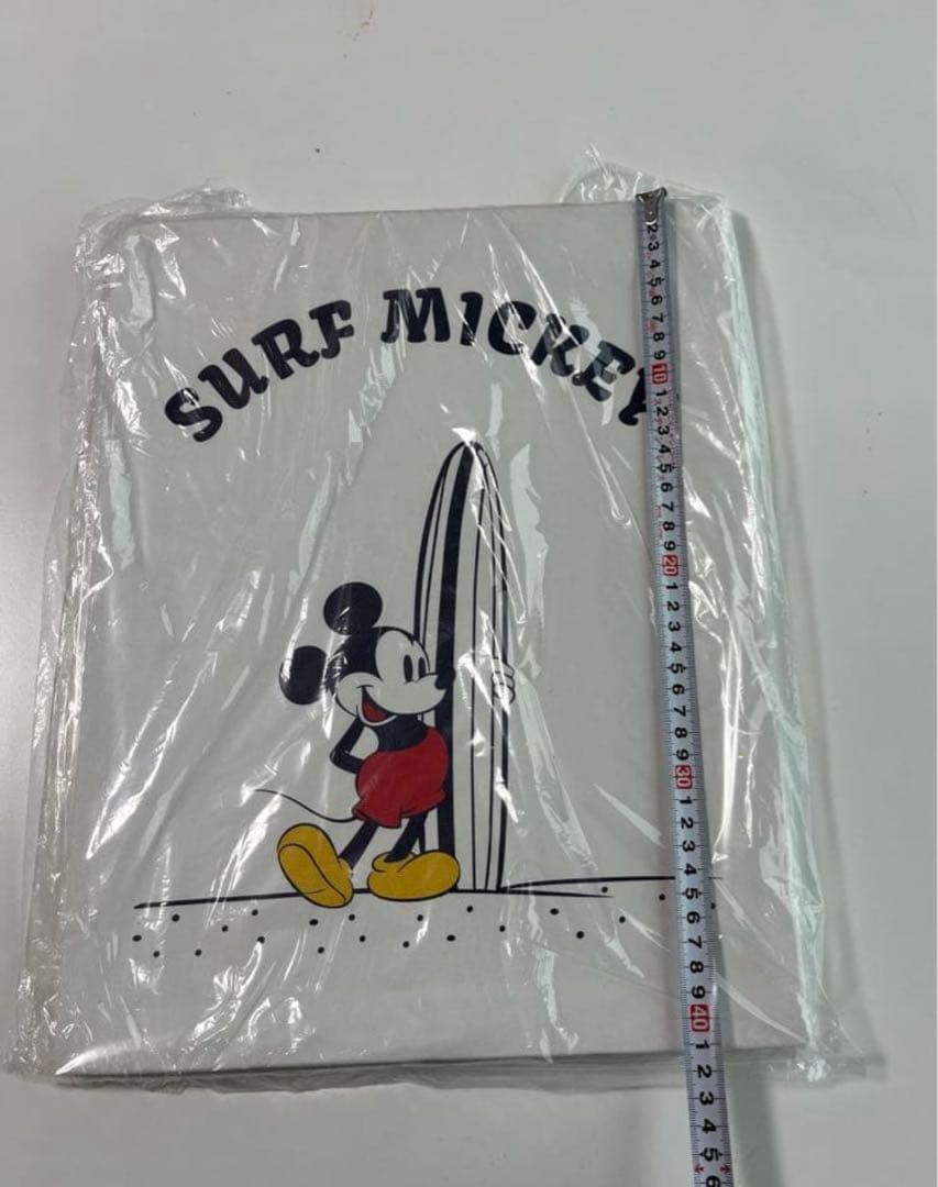 新品 サーフミッキー SURF MICKEY WALL CANVAS ART