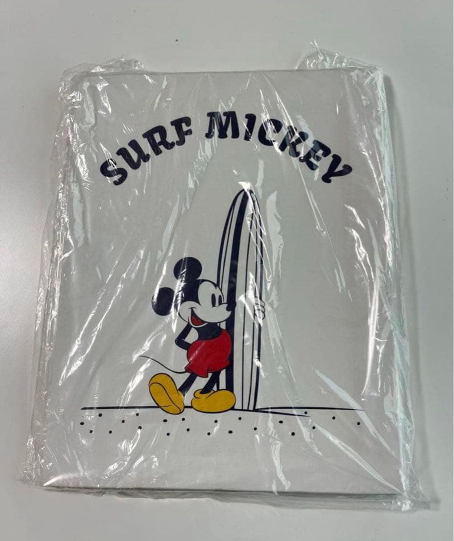 新品 サーフミッキー SURF MICKEY WALL CANVAS ART
