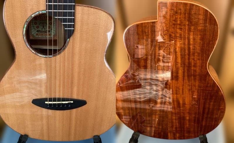 ギター aNueNue Bird Guitar M52