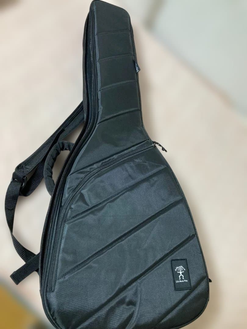 ギター aNueNue Bird Guitar M52