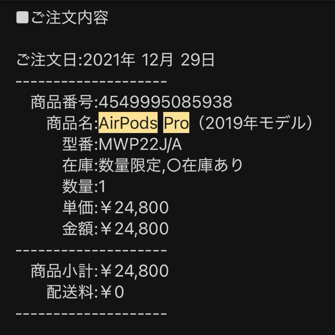 Apple AirPods Pro 第1世代 本体 動作確認済