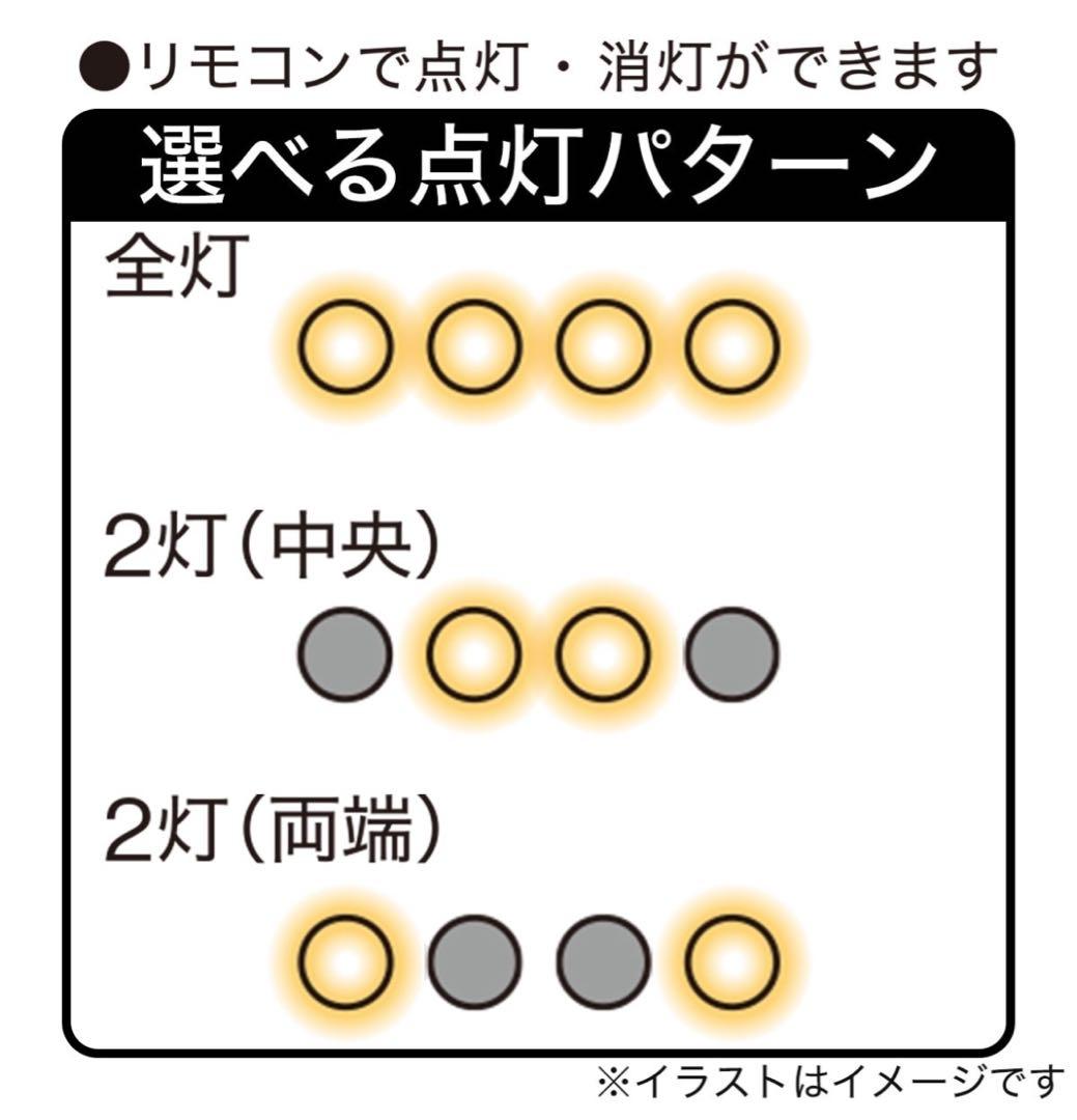 ブラックシーリングライト 4灯