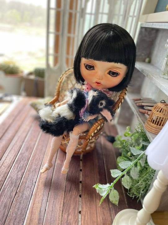 参考画像♪shino.doll♪No.345カスタムブライスレイニーデイパレード