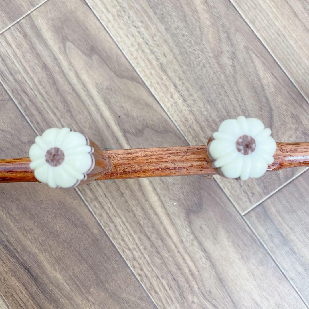 二胡 蛇皮 中国 民謡 民族楽器