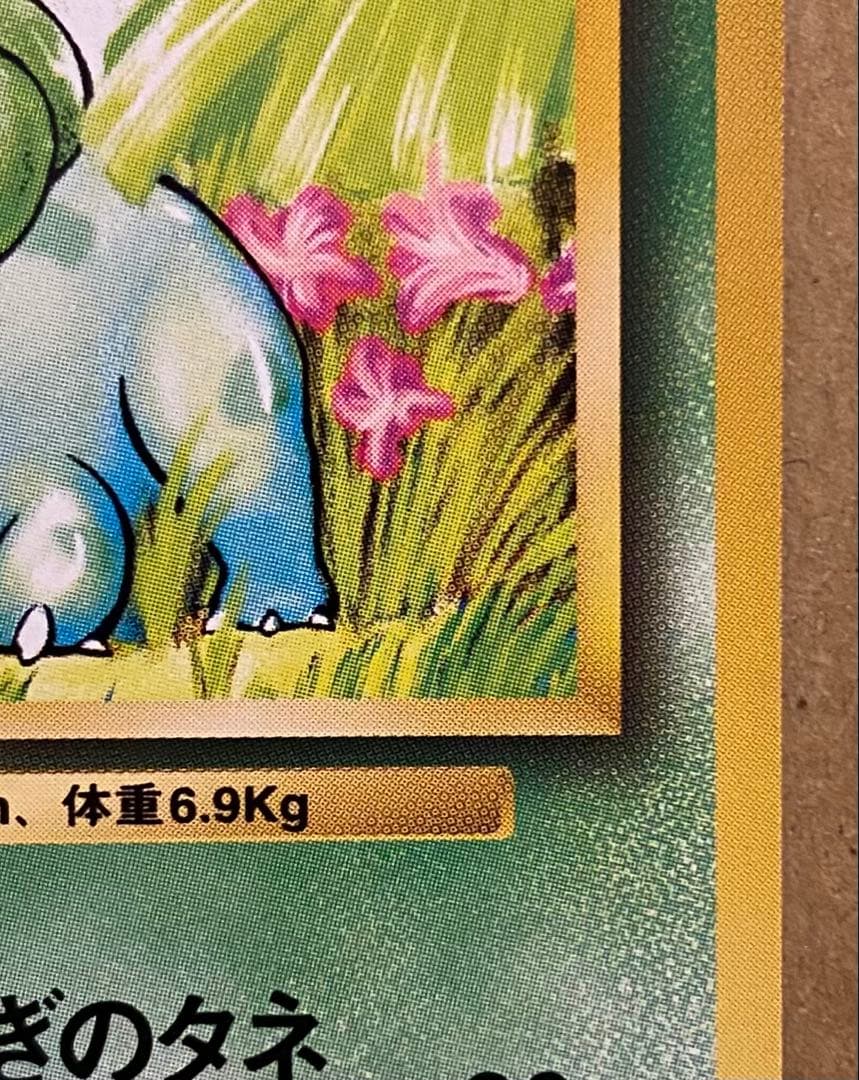 ☆レア美品)フシギダネ 旧裏 No.001 ポケットモンスターカードゲーム 再販