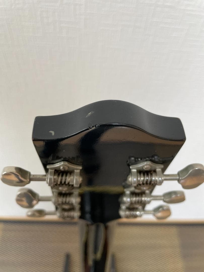 Loar LH-650-VS（改）