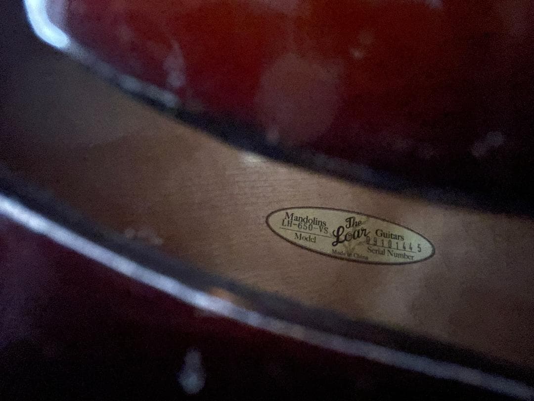 Loar LH-650-VS（改）