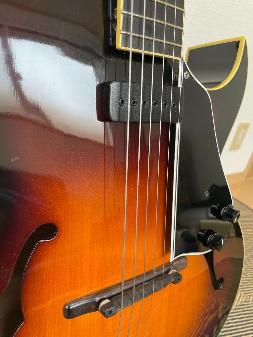 Loar LH-650-VS（改）