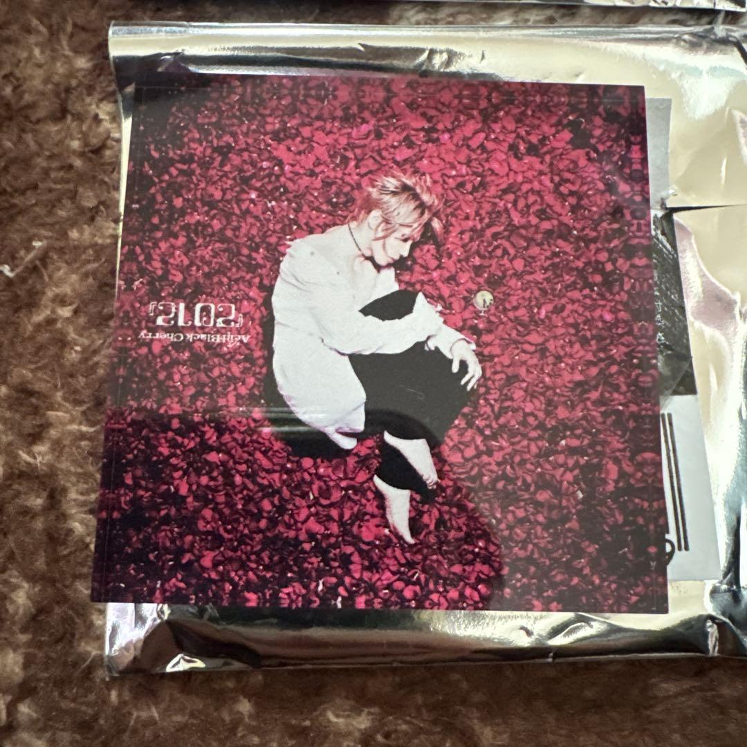 AcidBlackCherryアクリルマグネット 4種セット