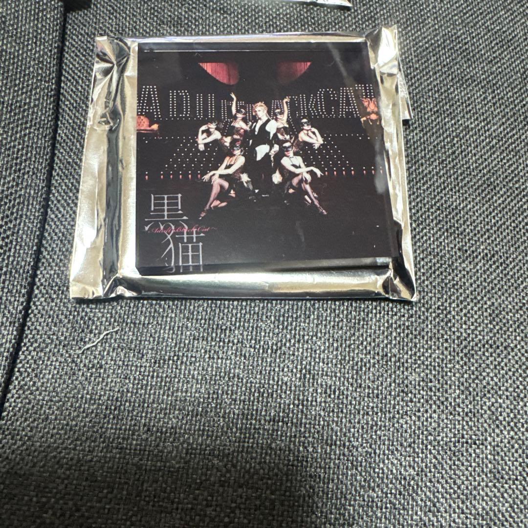 AcidBlackCherryアクリルマグネット 4種セット