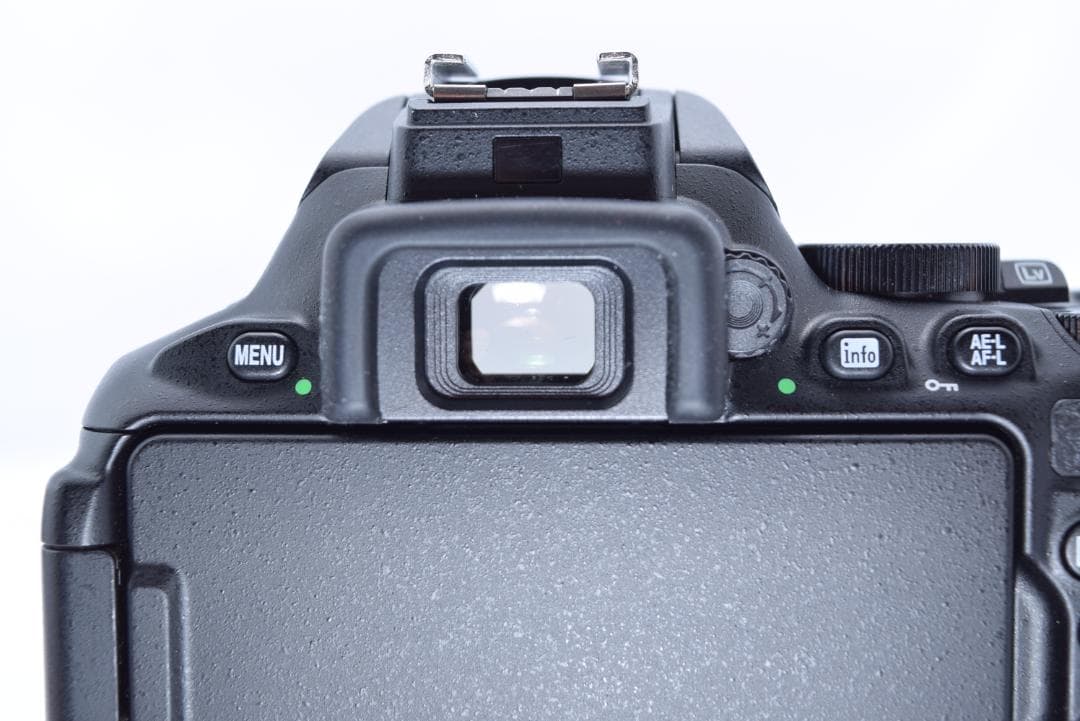 Nikon D5600 デジタル一眼レフ 手振れ補正付きレンズ　シャッター数少