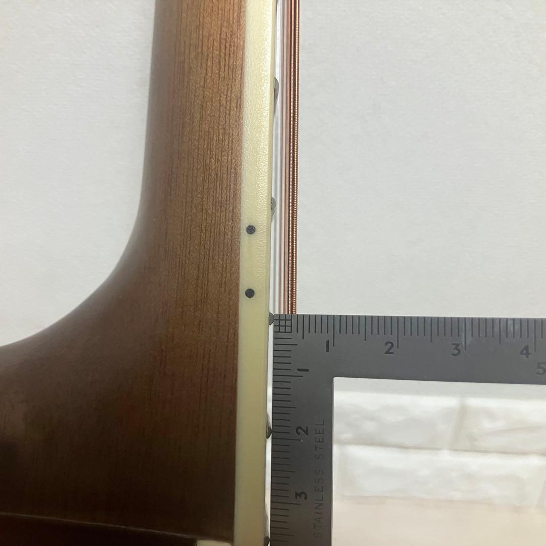 【弦新品】HONEY BEE F-15Wハニービーアコースティックギターケース付