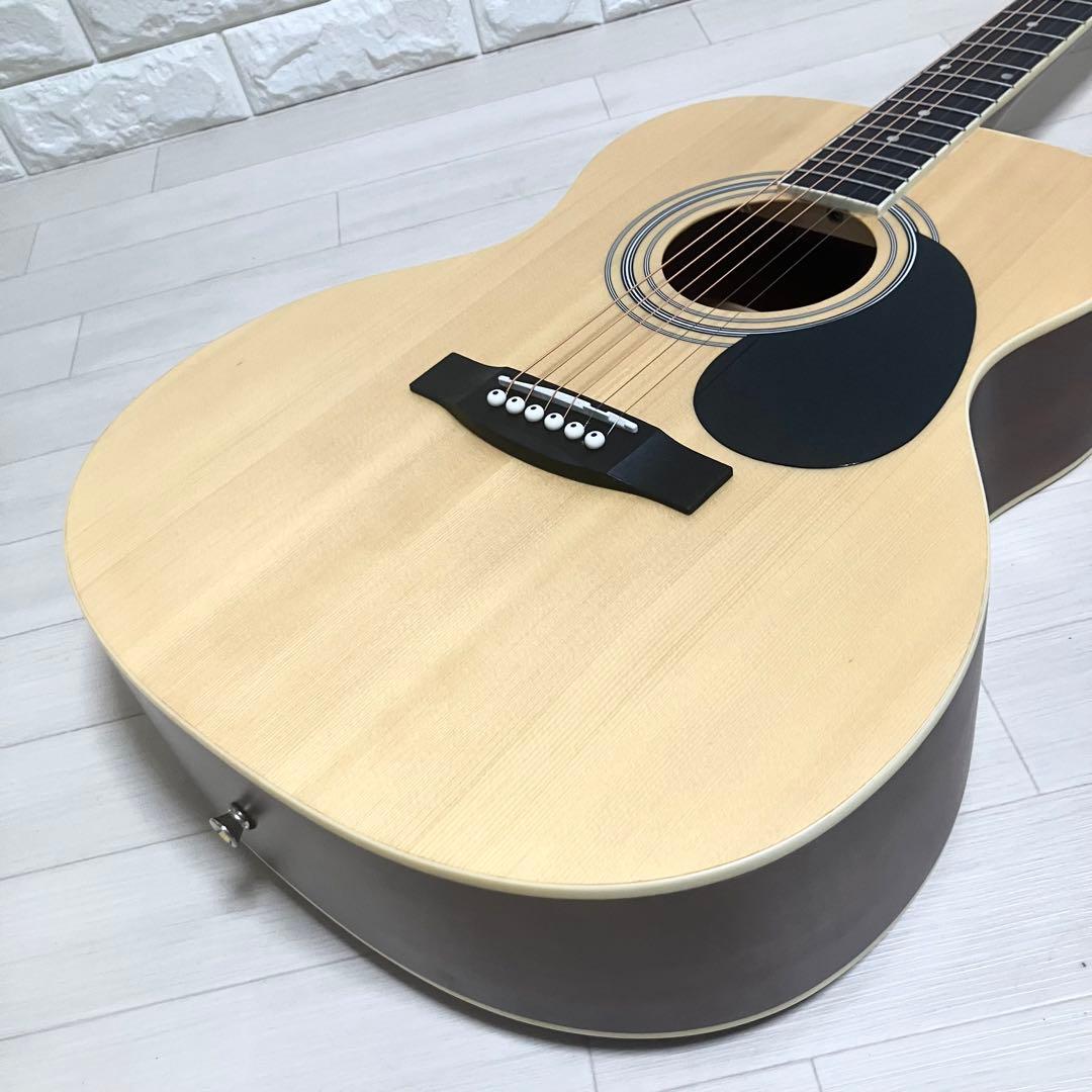 【弦新品】HONEY BEE F-15Wハニービーアコースティックギターケース付