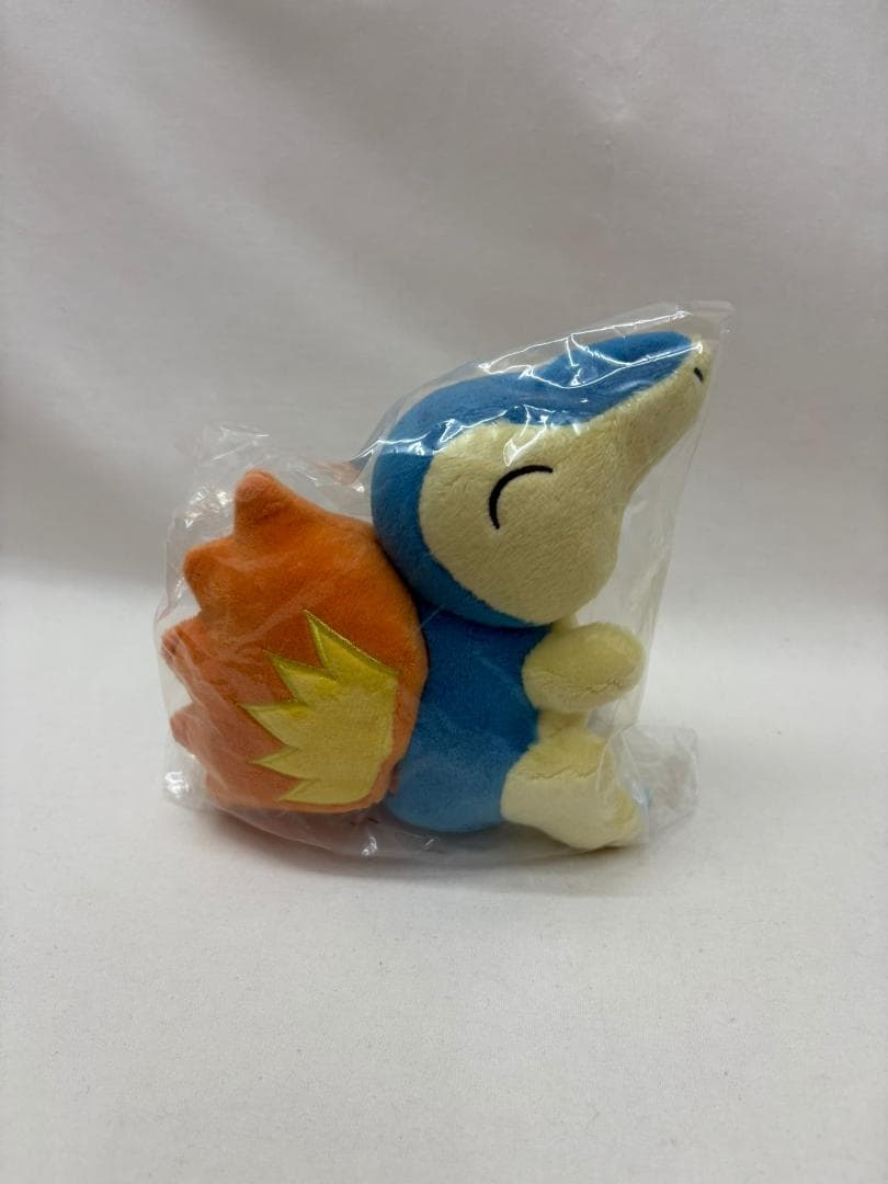 海外限定 ポケモン ヒノアラシ ぬいぐるみ キーホルダー マスコット