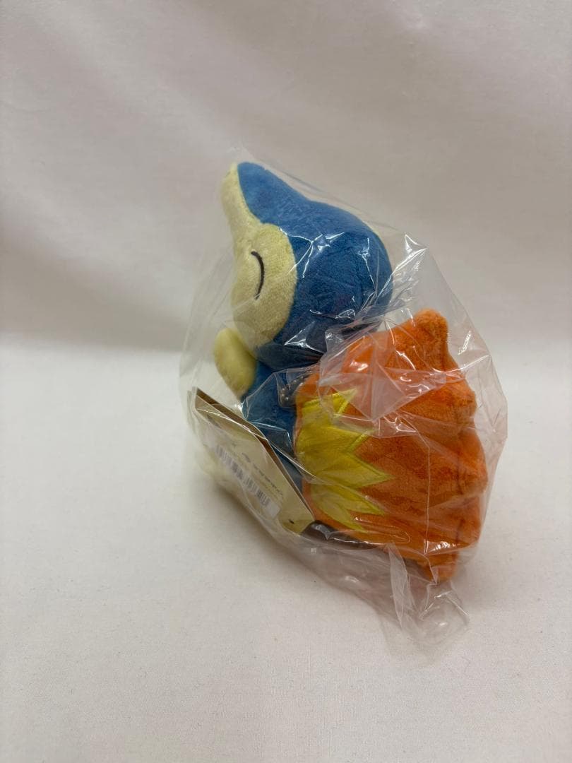 海外限定 ポケモン ヒノアラシ ぬいぐるみ キーホルダー マスコット