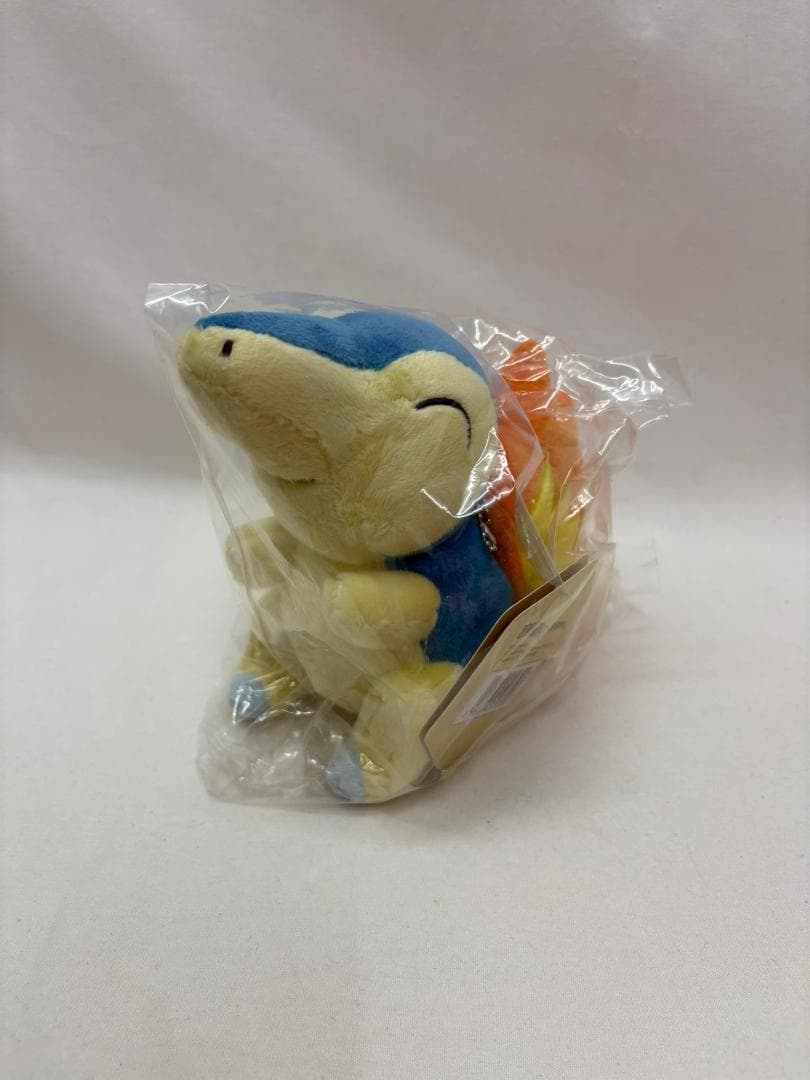 海外限定 ポケモン ヒノアラシ ぬいぐるみ キーホルダー マスコット