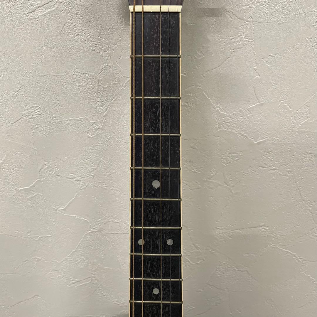 Aria Dreadnought EST.1960 D30 ギター 松岡良治