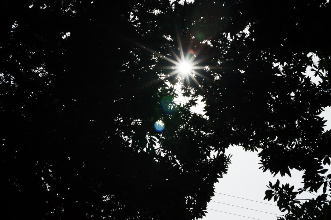 【美品】ニコン Ai-s Nikkor 50mm F1.4 大口径 643