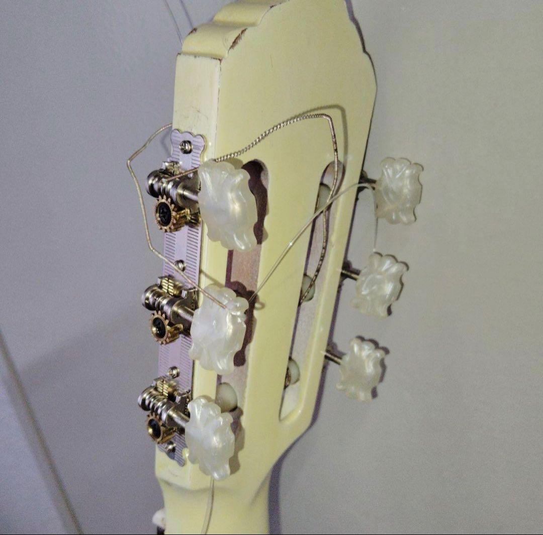 値下げ　水野楽器製作所 アコースティックギター ハードケース付き アコギ