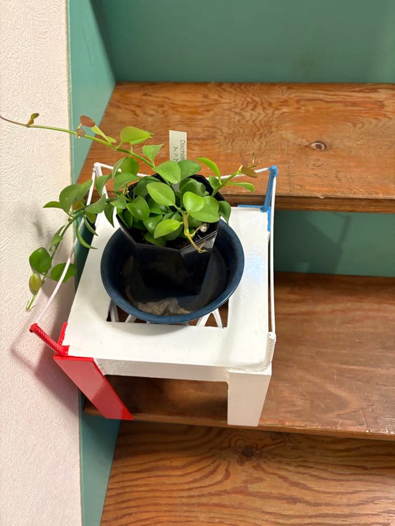 【プロレスリング風 棚】インダストリアルラック　観葉植物・小物置き　ユニーク