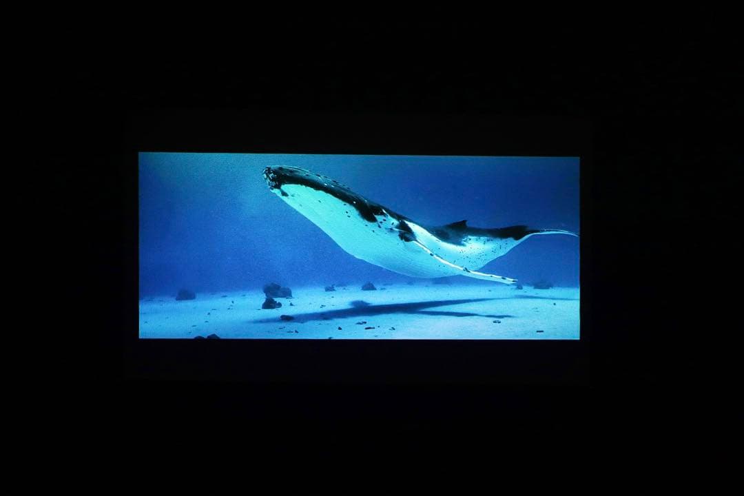 XGIMI MoGo Pro＋ モバイルプロジェクター 定価80,080円