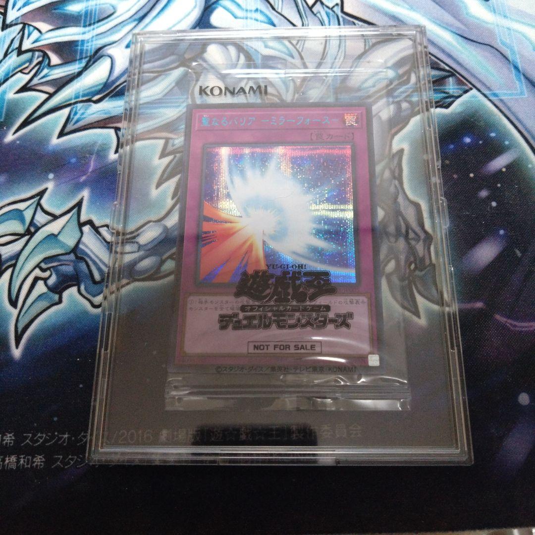 聖なるバリアミラーフォース　ブルシク