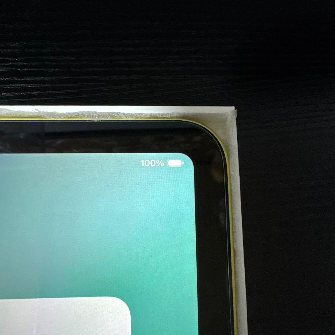 サ*ー様 Apple 11 インチ iPad (A16) WiFiモデル