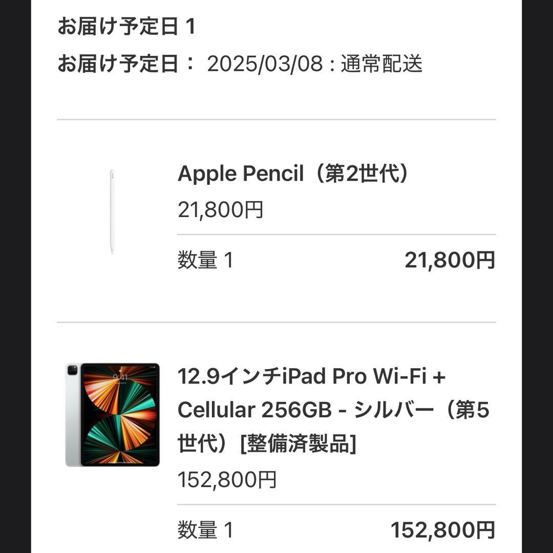 12.9インチiPad Pro Wi-Fi + Cellular 第5世代　M1