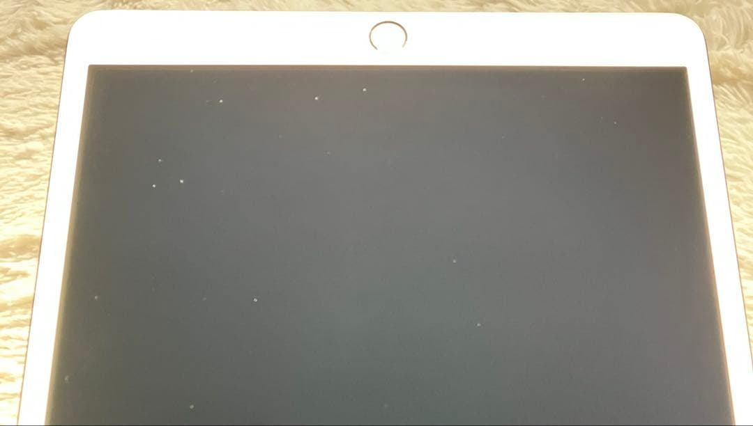 【早い者勝ち】iPad 10.5 64GB SIMフリー 【すぐ発送】【付属品】