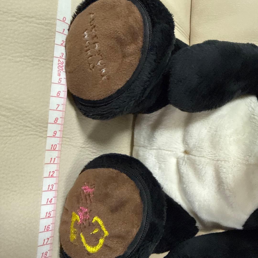 アドベンチャーワールド　彩浜　2才 ぬいぐるみ