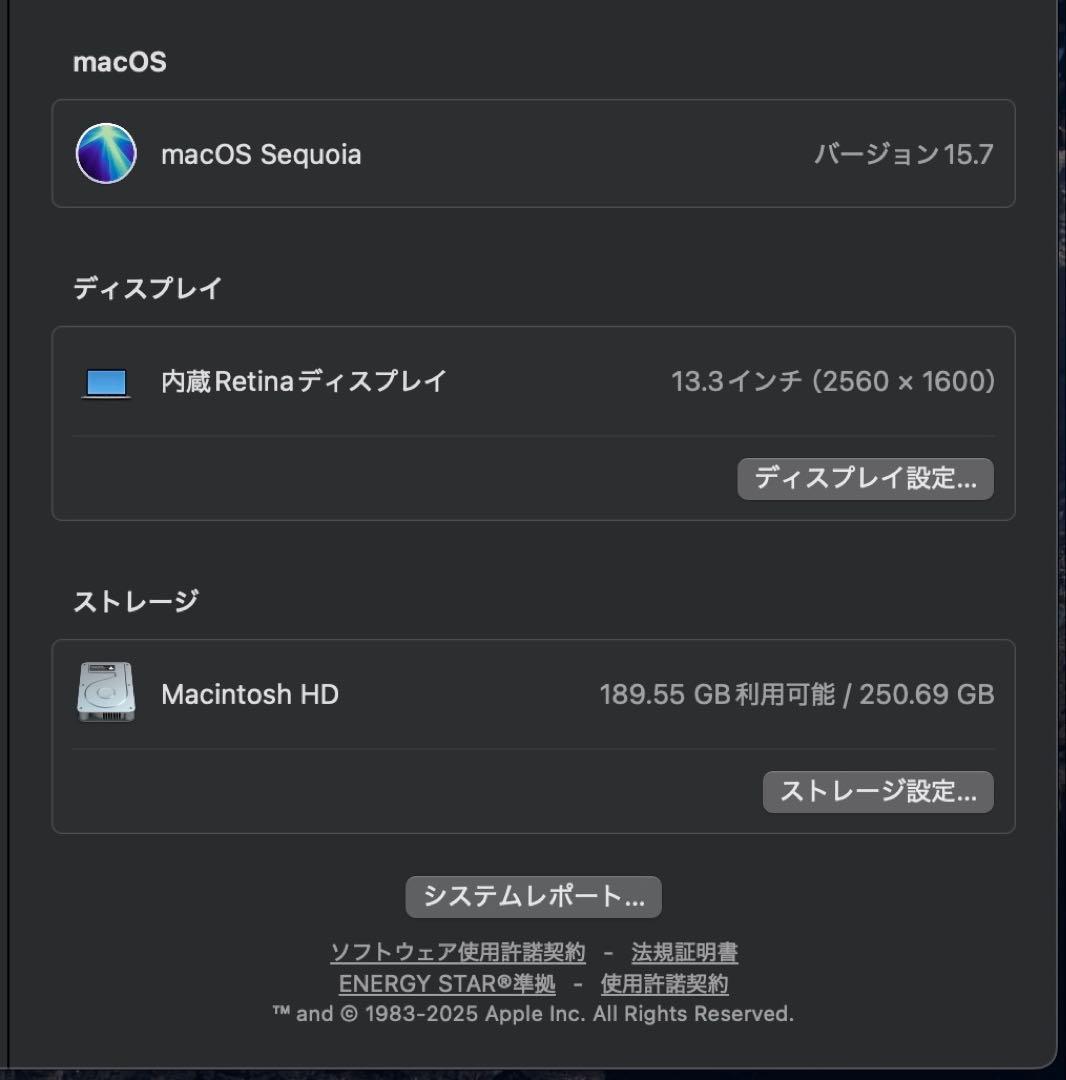 Apple MacBook Pro スペースグレー& Magic Mouse 2