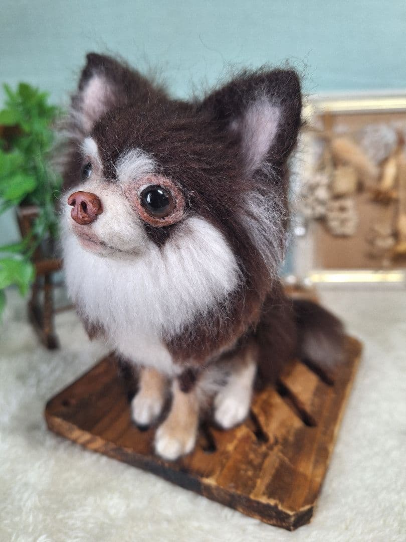 羊毛フェルト　ちわわ　チョコタン