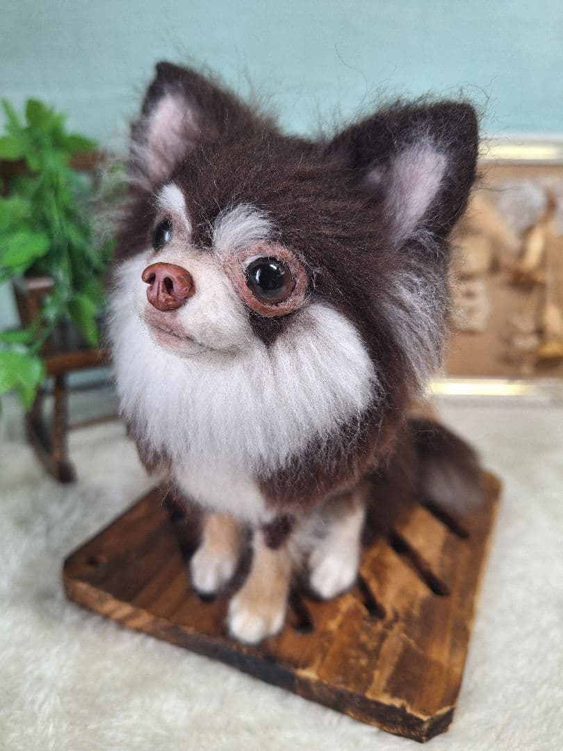 羊毛フェルト　ちわわ　チョコタン