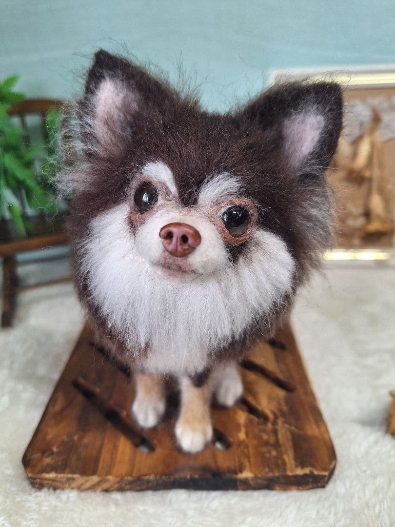 羊毛フェルト　ちわわ　チョコタン