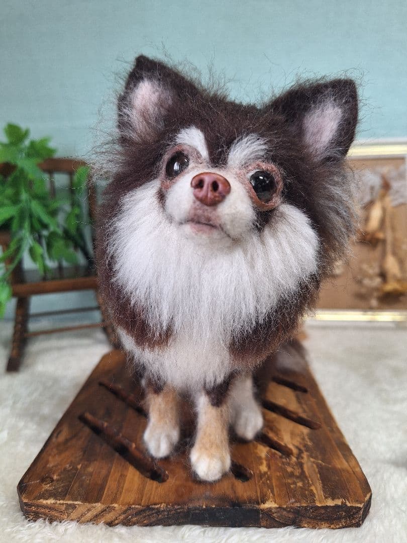 羊毛フェルト　ちわわ　チョコタン