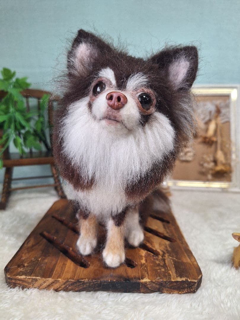 羊毛フェルト　ちわわ　チョコタン