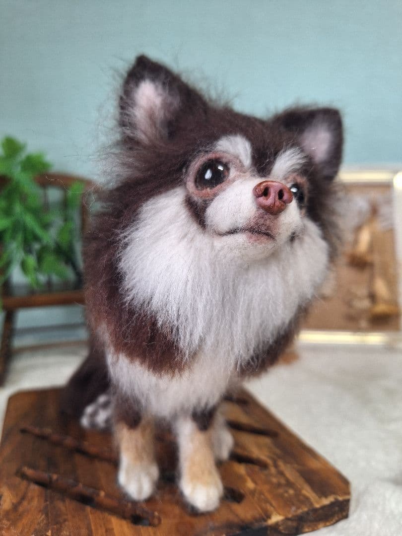 羊毛フェルト　ちわわ　チョコタン