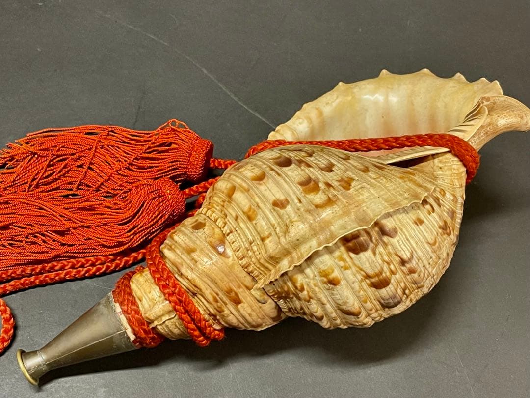 割引❣️【美品】「母」 法螺貝 ほら貝 口金 38cm 山伏 修験道 (218A)