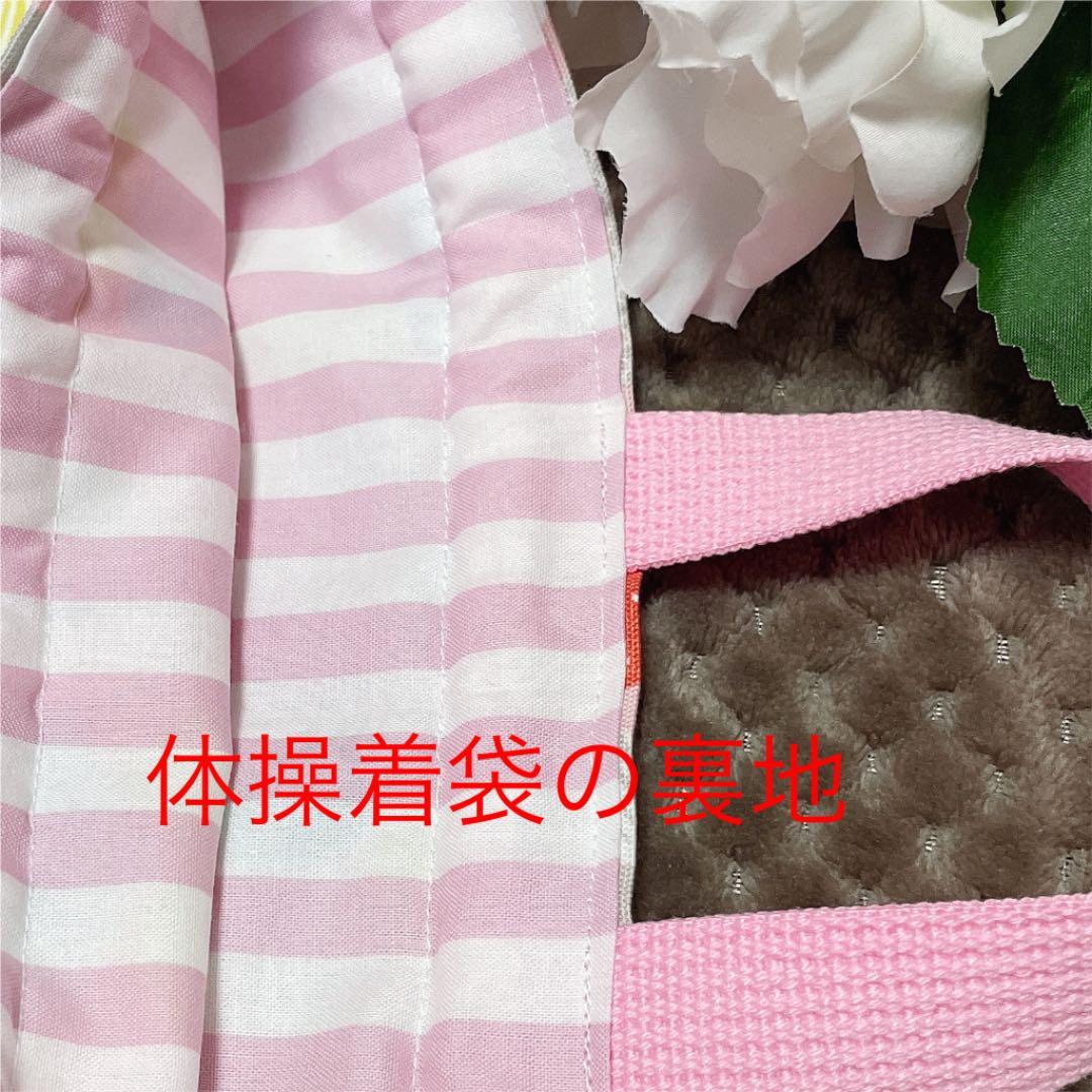 No.42 入学入園　3点セット　女の子　手提げバッグ　上履き入れ　体操着袋