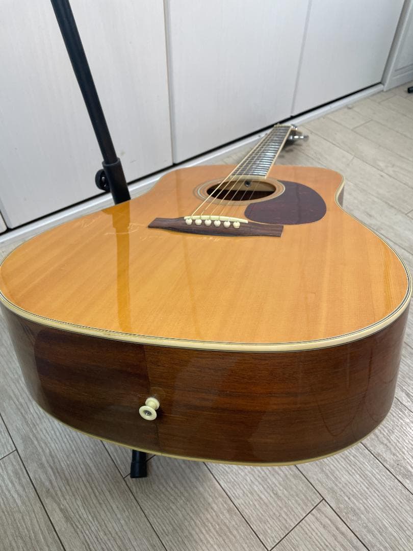 Pro Martin プロマーチン W300N アコースティックギター