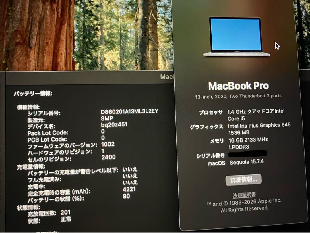 【メモリ16GB】MacBook Pro 13インチ 2020 充放電201回