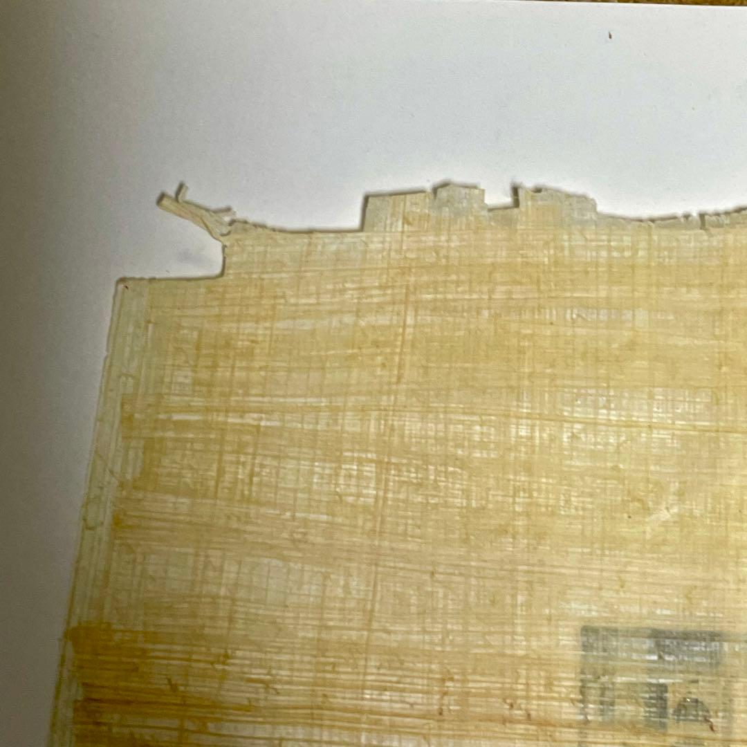 パピルス エジプト産 本物 絵画 ワイド四切サイズ