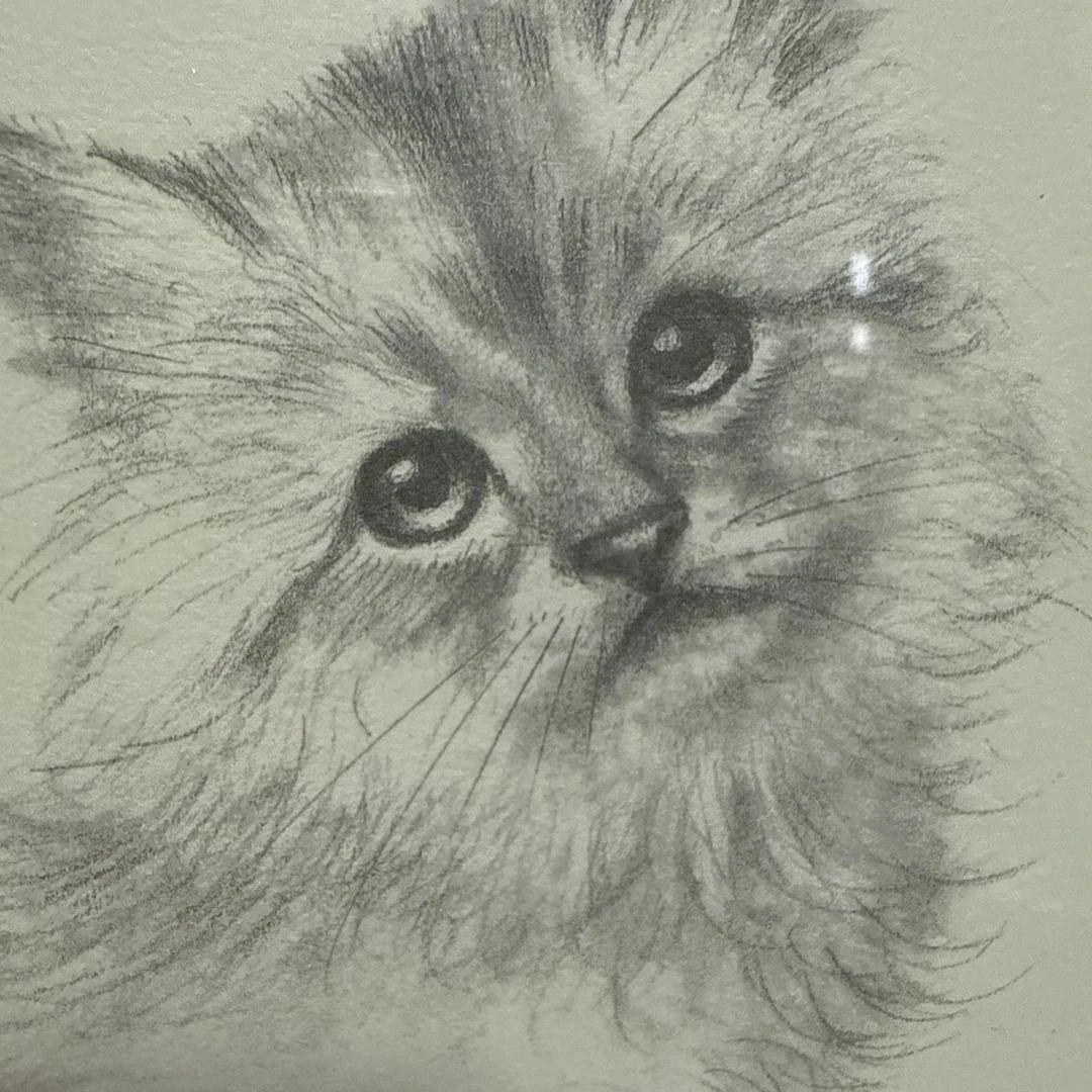 八代亜紀さん猫の鉛筆画デッサンリトグラフ　八つ切り「チビたん」