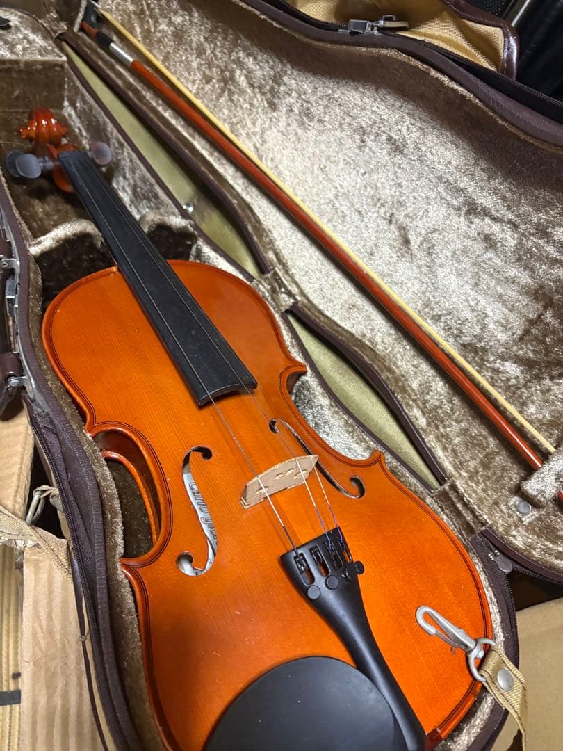 carlo giordano violin バイオリン