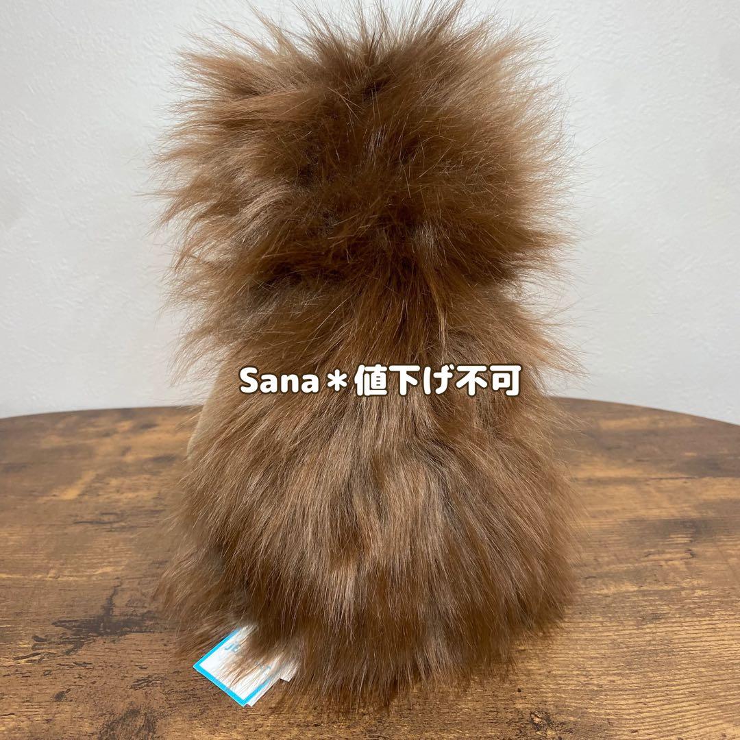 廃盤　新品　 Bashful Spike Hedgehog M